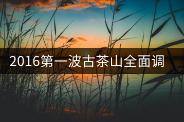 2016第一波古茶山全面調(diào)研第四站——臨滄·大雪山、小戶(hù)賽