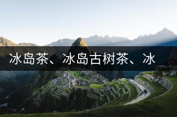 冰島茶、冰島古樹茶、冰島茶區(qū)茶、冰島茶區(qū)古樹茶