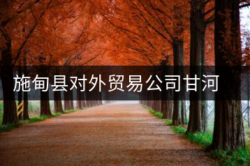 施甸縣對(duì)外貿(mào)易公司甘河凹茶廠(chǎng)