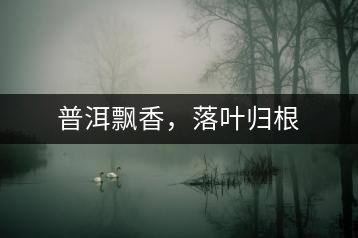 普洱飄香，落葉歸根