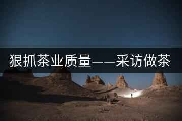 狠抓茶業(yè)質量——采訪做茶人