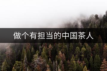 做個有擔(dān)當(dāng)?shù)闹袊枞? decoding=