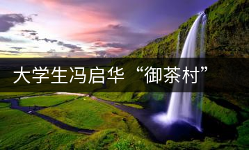 大學生馮啟華“御茶村”茶園放飛創(chuàng)業(yè)夢想