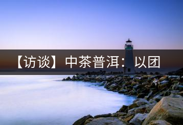 【訪談】中茶普洱：以團(tuán)隊(duì)之力促發(fā)展，用品質(zhì)之心拓市場