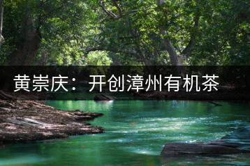 黃崇慶：開創(chuàng)漳州有機茶先河