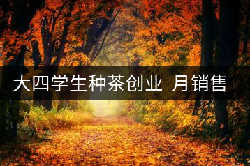 大四學(xué)生種茶創(chuàng)業(yè) 月銷售額超五十萬(wàn)