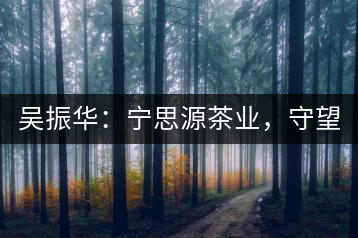 吳振華：寧思源茶業(yè)，守望家鄉(xiāng) 做好“金獎茶王”