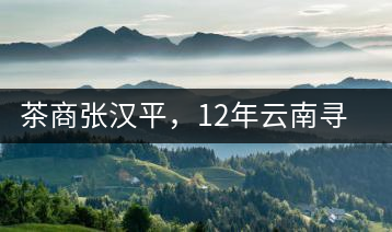 茶商張漢平，12年云南尋茶路