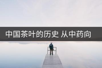中國(guó)茶葉的歷史 從中藥向飲品的轉(zhuǎn)變