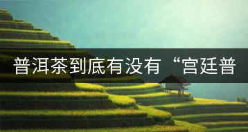 普洱茶到底有沒有“宮廷普洱”一說？它到底是什么？