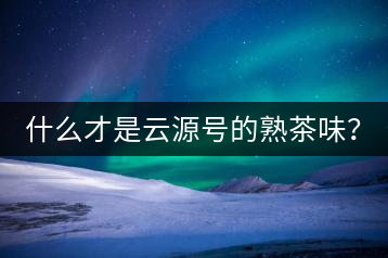 什么才是云源號的熟茶味？