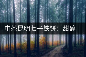 中茶昆明七子鐵餅：甜醇甘潤，陳韻綿長