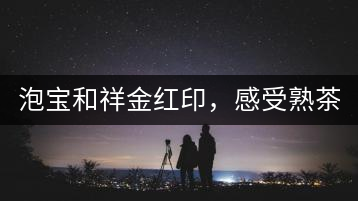 泡寶和祥金紅印，感受熟茶之美。