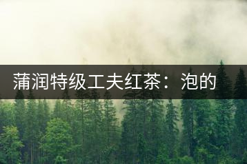 蒲潤(rùn)特級(jí)工夫紅茶：泡的方便，喝的舒適