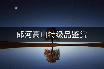 郎河高山特級品鑒賞