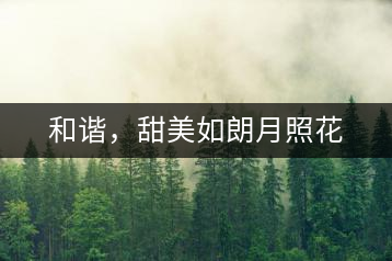 和諧，甜美如朗月照花