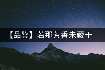 【品鑒】若那芳香未藏于樟野，怎會這般獨具韻味？