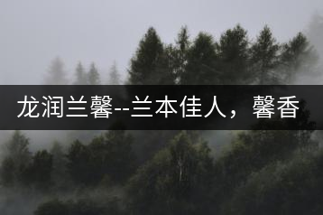 龍潤蘭馨–蘭本佳人，馨香高雅