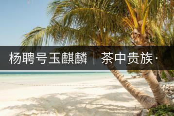 楊聘號(hào)玉麒麟｜茶中貴族·冰島古樹(shù)