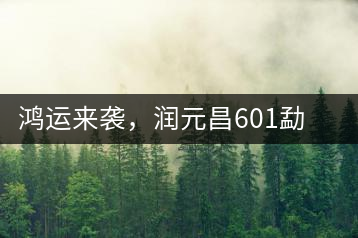 鴻運(yùn)來襲，潤元昌601勐海紅韻熟茶即將上市