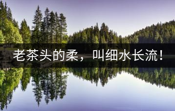 老茶頭的柔，叫細(xì)水長流！