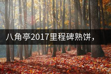 八角亭2017里程碑熟餅，自先發(fā)酵而后愛人