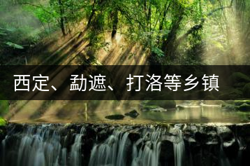 西定、勐遮、打洛等鄉(xiāng)鎮(zhèn)古茶樹資源