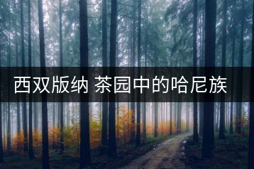 西雙版納 茶園中的哈尼族村莊