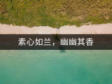 素心如蘭，幽幽其香