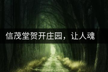 信茂堂賀開(kāi)莊園，讓人魂?duì)繅?mèng)繞的名山古樹(shù)茶