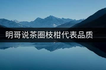 明哥說茶圈枝柑代表品質(zhì)高點，是玩家級的產(chǎn)品