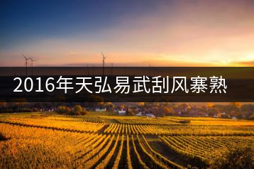 2016年天弘易武刮風(fēng)寨熟茶一泡耐人尋味！