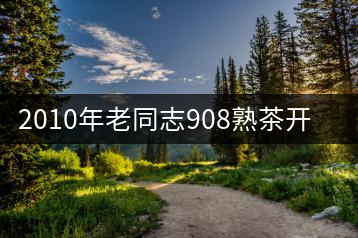 2010年老同志908熟茶開湯品鑒