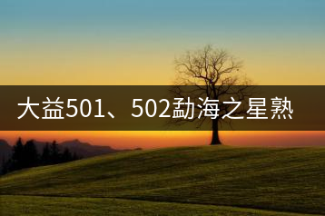 大益501、502勐海之星熟茶