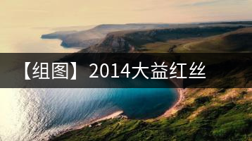 【組圖】2014大益紅絲帶開(kāi)湯