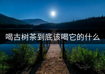 喝古樹茶到底該喝它的什么？