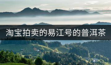 淘寶拍賣(mài)的易江號(hào)的普洱茶怎么樣？