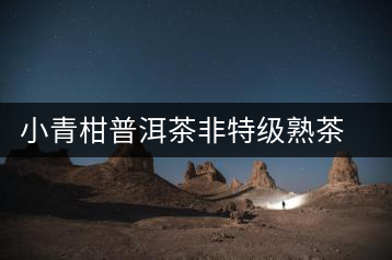 小青柑普洱茶非特級(jí)熟茶正宗新會(huì)陳皮柑普茶小青桔普茶罐裝茶葉