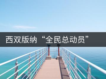 西雙版納“全民總動員”保護北回歸線唯一綠洲
