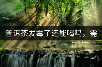 普洱茶發(fā)霉了還能喝嗎，需要怎么處理？