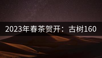 2023年春茶賀開：古樹1600-2500元