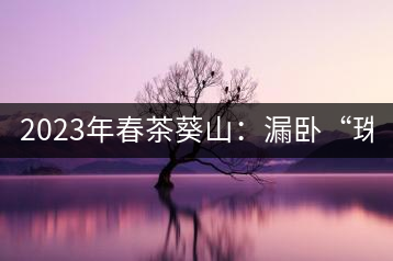 2023年春茶葵山：漏臥“珠江紅：1200元-3200元（有3個(gè)檔次）漏臥“大廠茶”：古樹單株8600-9000元／公斤，中樹4800-5200元／公斤，小樹混采2600-2800元／公斤。