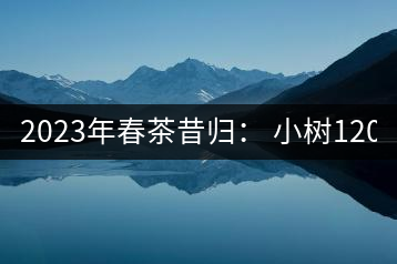 2023年春茶昔歸： 小樹(shù)1200-1600元／公斤，大樹(shù)4500-5200元／公斤，古樹(shù)7500-9000元／公斤.