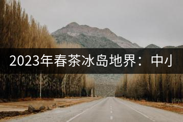 2023年春茶冰島地界：中小樹(shù)1300-1500元／公斤，古樹(shù)2200~2500元／公斤