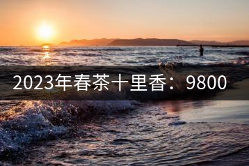 2023年春茶十里香：9800-12000元／公斤，十里香紅茶：9800-12000元／公斤