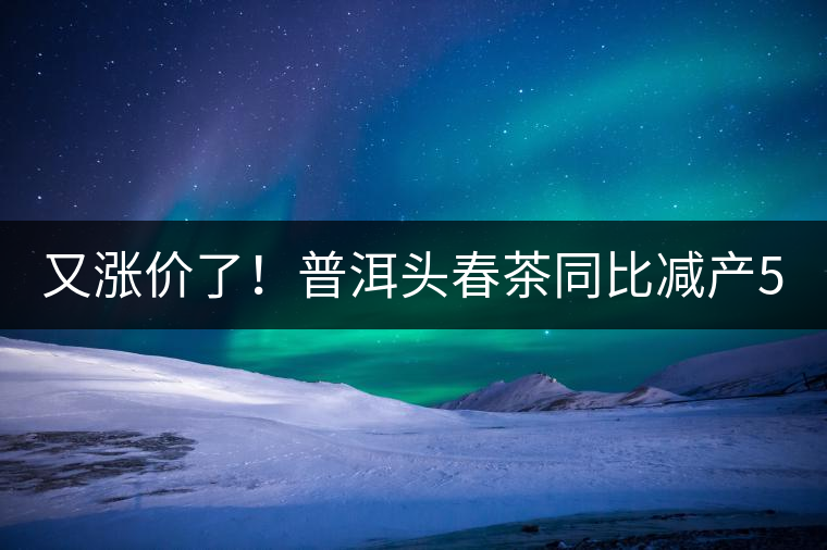 又漲價(jià)了！普洱頭春茶同比減產(chǎn)50%，薄荷塘一類鮮葉需當(dāng)面議價(jià)