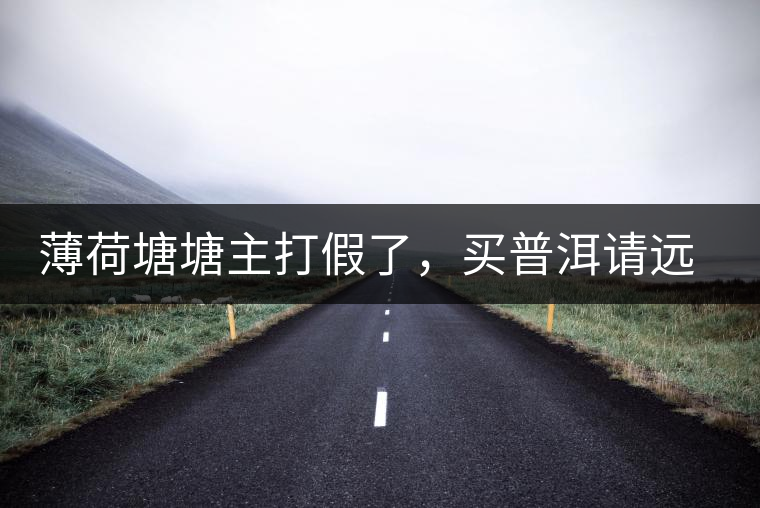 薄荷塘塘主打假了，買普洱請(qǐng)遠(yuǎn)離那些講故事的奸商