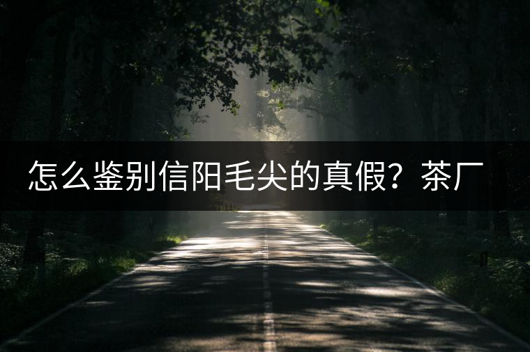 怎么鑒別信陽毛尖的真假？茶廠小姐姐親自告訴你茶葉的等級
