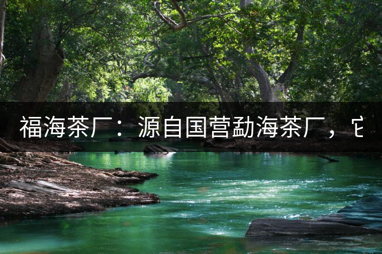 福海茶廠：源自國營勐海茶廠，它是99易武綠星星之母