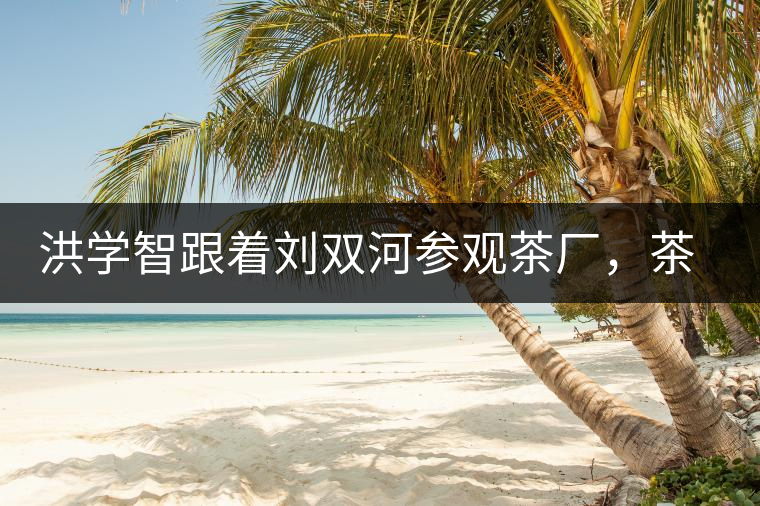 洪學(xué)智跟著劉雙河參觀茶廠，茶廠黃老板對(duì)賣苦力的百姓百般欺凌